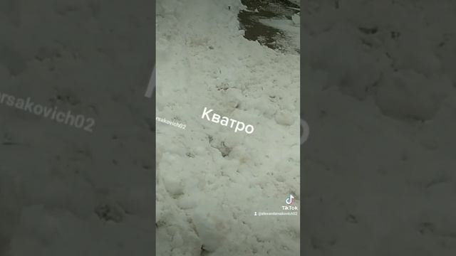 #ауди Кватро