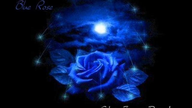 Blue Rose