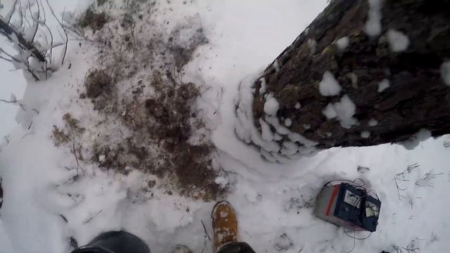 Установка новой фотоловушки HC 800 в старых местах. 23 Декабря 2018г смотреть онлайн