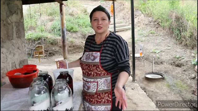 Մեր Հանդերի ՄՈՇԻ կոմպոտը - Компот из Ежевики - Շամշադինի Համը - Шамшадин смотреть онлайн