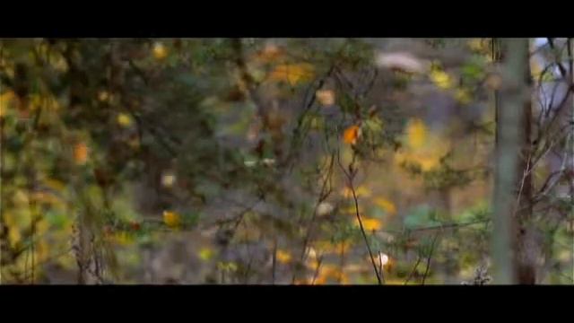 Мой Клип Музыка для Души! от Евгения! смотреть онлайн