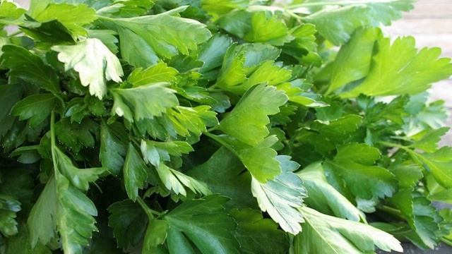 СПЕЦИИ. Петрушка. Полезные свойства, где, как и в каком сочетании применять петрушку. ENG SUB. смотреть онлайн