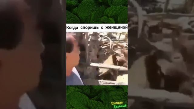 Не фиг спорить