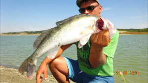 Рыбалка. Ловля щуки! судака! окуня! на донку.Ловля на резинку.2017.