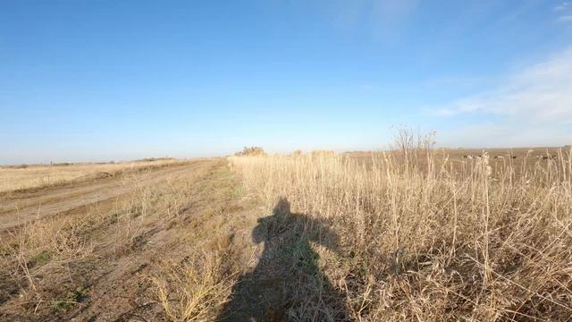 Добраться до заброшенной деревни, Лесной Бор, часть 1 смотреть онлайн