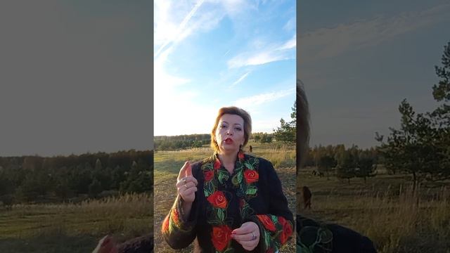 Когда платить налог? смотреть онлайн