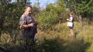 Нарвали винограда, слив, кизила. Жизнь простых людей. Украина.
