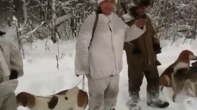 Охотничьи истории
