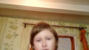 Как приручить папугая на воле и научить говорить