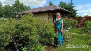 Белая смородина и варенье из нее