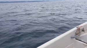 Garmin echoMAP CHIRP 42cv