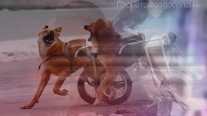 Юлия Славянская. Пока любим.