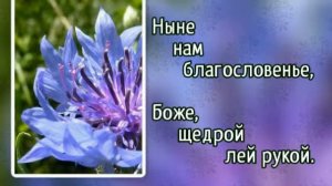 Гимны надежды 133 Аллилуйя, день субботний 2 (-)