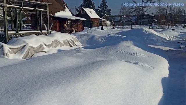 Почему я езжу на ДАЧУ через день? ? смотреть онлайн