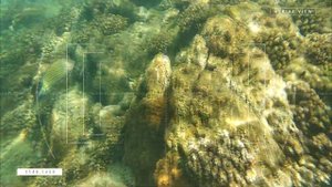 Андаманское море