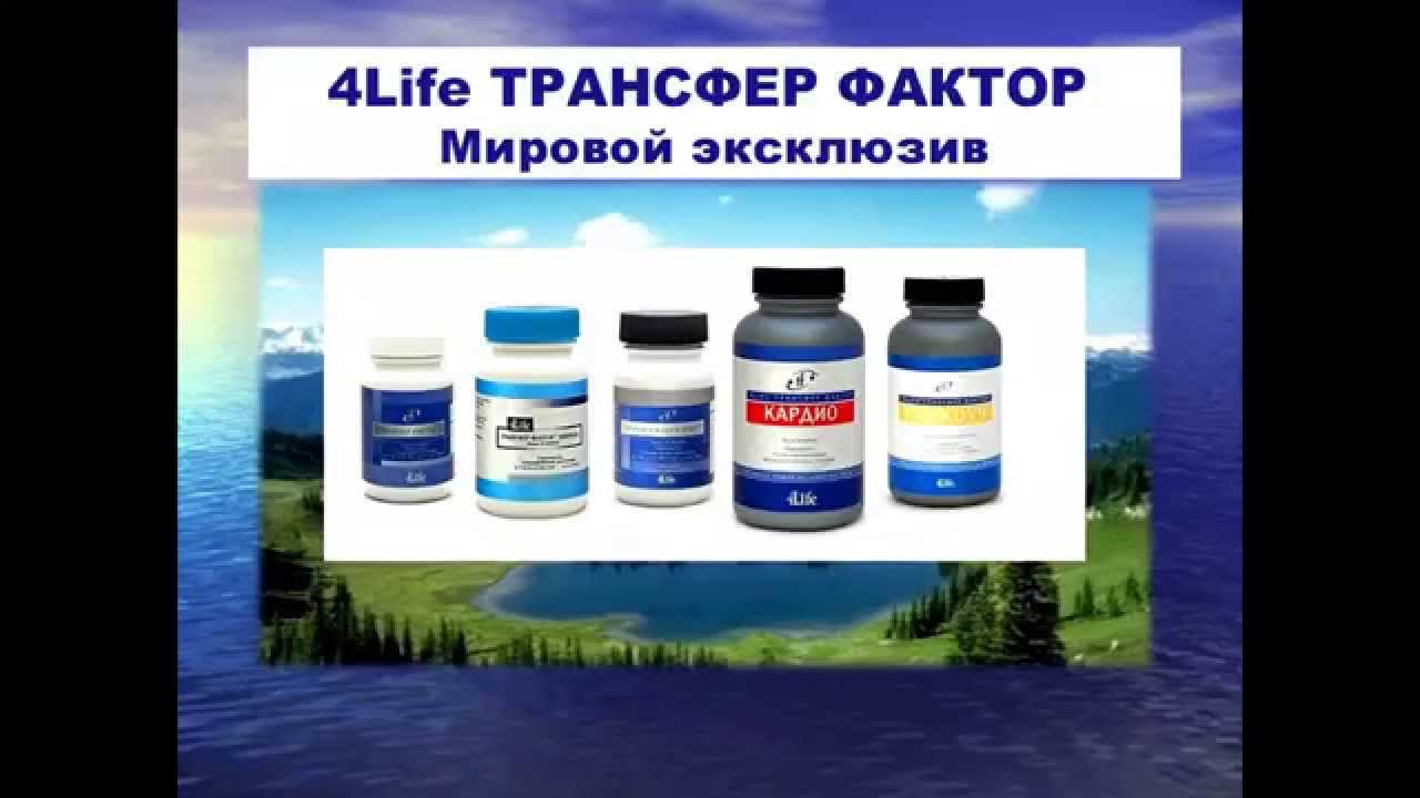 Что такое трансфер фактор. Вебинар Кутузова Н.