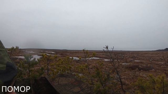 Охота на гуся, 10 дней в тайге, искупался в болоте, "потеряли бойца" goose hunting. смотреть онлайн
