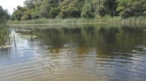 СПЛАВ НА БАЙДАРКЕ ПО РЕКЕ БИТЮГ 2021 | #6 Долгий путь. Начало.