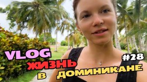 Нашла друга | Перестановка дома | Гуляю по территории