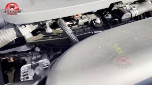 ✅Haval Monster 2022! СТАРТ ПРОДАЖ!?Цены и комплектации Haval Shenshou!