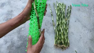 Cách làm chậu Bonsai để bàn làm việc | Design of lucky Bamboo