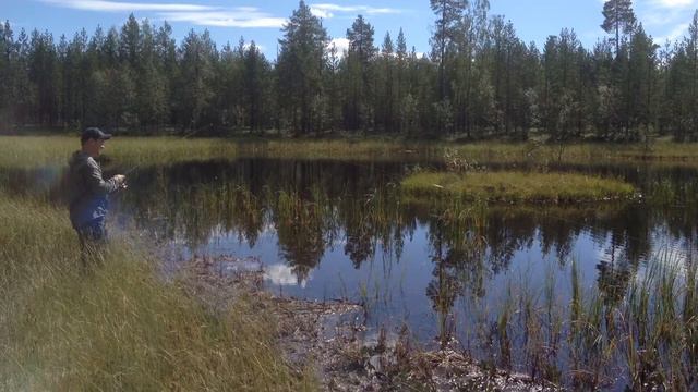 Река Роукса. Август 2016 смотреть онлайн