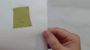 Оттиски фоамирана на силиконовом молде