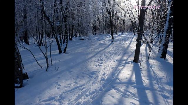 #петербург #парк  Петербург. Зимний парк Дубки. Музыка Антонио Вивальди. Виртуальная экскурсия.