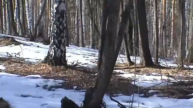 Ильменка и озеро Тургояк
