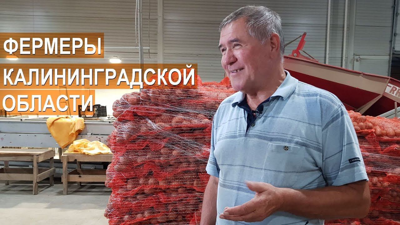 Есть фермеры в Калининградской области? Фермер Чечулин С.А., глава КФХ Калина