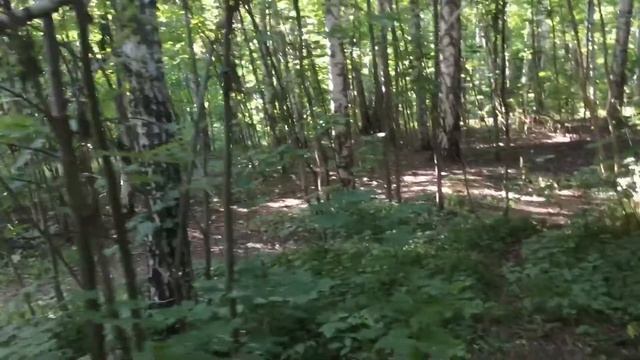 Москва. Воробьёвы горы. Ариана на детской площадке. Тарзанка. смотреть онлайн