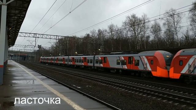 Поезда Москвы на Ленинградском направлении. Сборник 1. смотреть онлайн