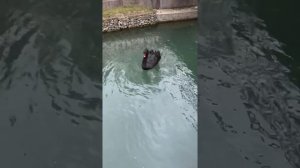 Дендрарий в Адлере ?