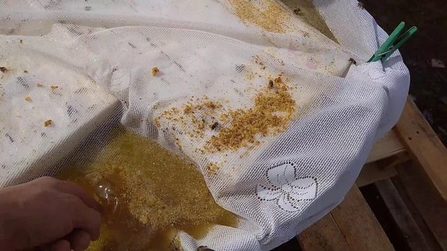 Как быстро освободить рамки от старого меда? ? смотреть онлайн
