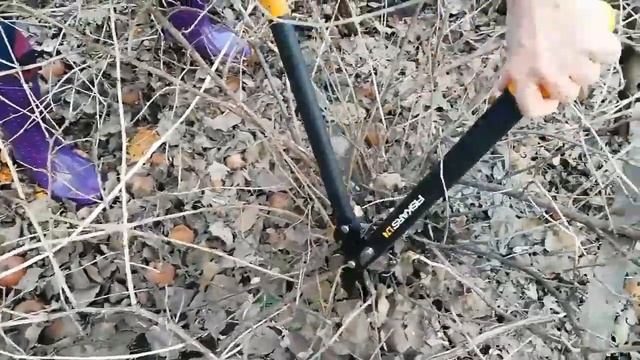 СУЧКОРЕЗ FISKARS L74 /РАБОТА СУЧКОРЕЗА ПРОСТО СУПЕР/ОБЗОР смотреть онлайн