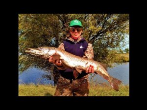 РЫБАЛКА НА ЩУКУ В ОКТЯБРЕ 2021. ПЕРВЫЙ ОСЕННИЙ ТРОФЕЙ. ЩУКА И СУДАК НА СПИННИНГ