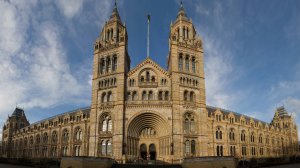 Музей естественной истории. Лондон, Великобритания / Natural History Museum. London, UK