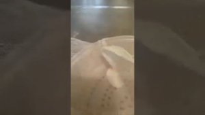 #корейскаякухня #чимпени  Готовлю первый раз !