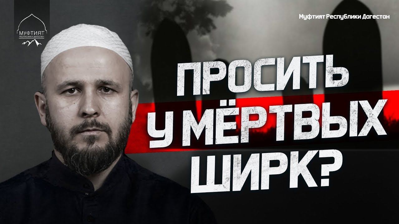 ПРОСИТЬ У МЕРТВЫХ ШИРК? смотреть онлайн