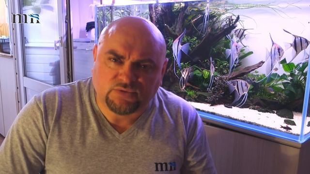 Аквариум. Декорации в аквариуме. Добрые советы новичкам. смотреть онлайн