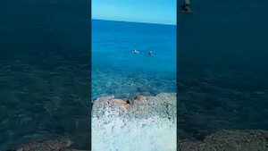 Отель Кинг Тут Сфинкс обзор. Египет. Хургада