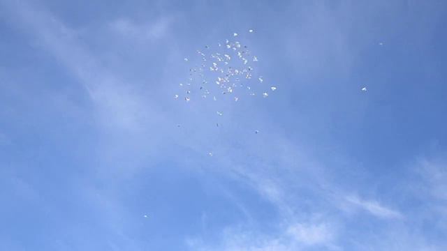 Голуби Паши Оренбургского смотреть онлайн