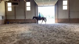 Green Horse Ranch Riding U/S WJ - Class 53 - Emily Perkins & Love Shaq