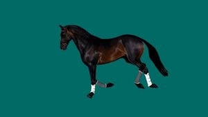 ХРОМАКЕЙ Бегущая лошадь