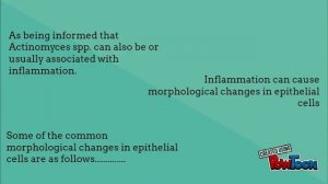 NILM ORGANISM: ACTINOMYCES SPP.