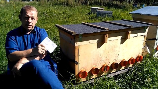 От колод к рамочным ульям, почему?  И владимирский улей как современная альтернатива колоде?