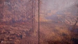 Far Cry Primal - PC vs. PS4 [Сравнение графики]