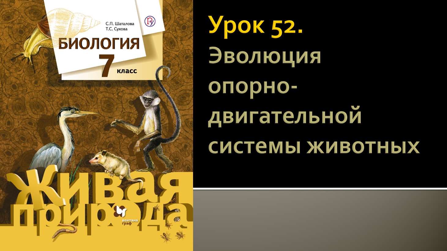 Урок 52. Эволюция опорно-двигательной системы животных