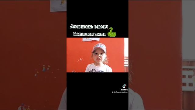 Факты про анаконду. Анаконда самая большая змея. #Устинкарассказывает