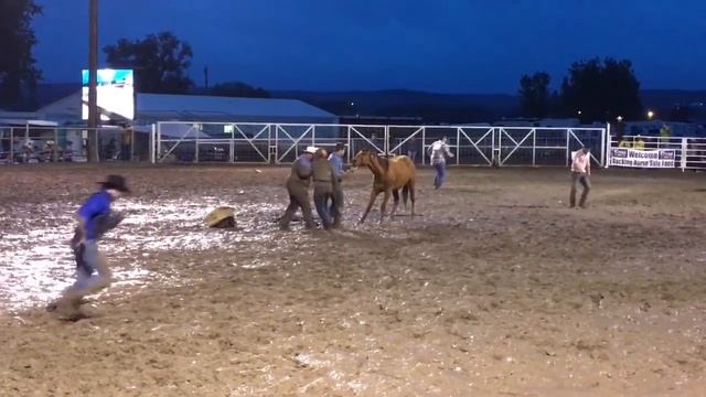 Semi-Aquatic Wild Horse Racing - 2018 Miles City Bucking Horse Sale - 2nd Race смотреть онлайн